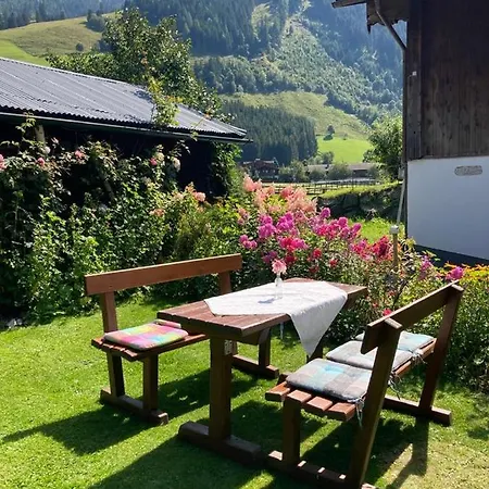 Bräu