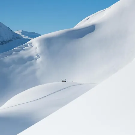 Braeu * ラウリス