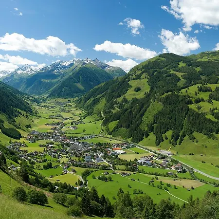 Bräu