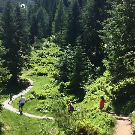 Country house Brau